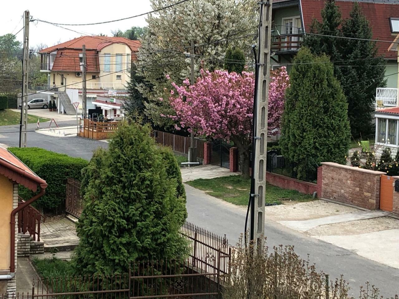 Jozsef Apartments House Zalakaros Esterno foto