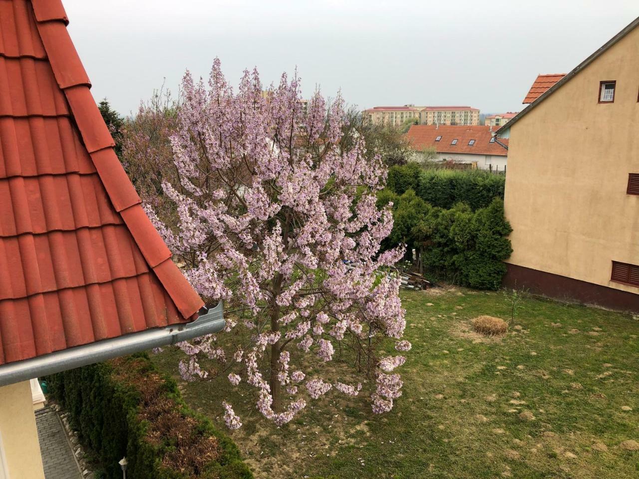 Jozsef Apartments House Zalakaros Esterno foto